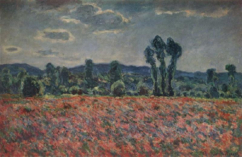Claude Monet Poppy Field Spain oil painting art
